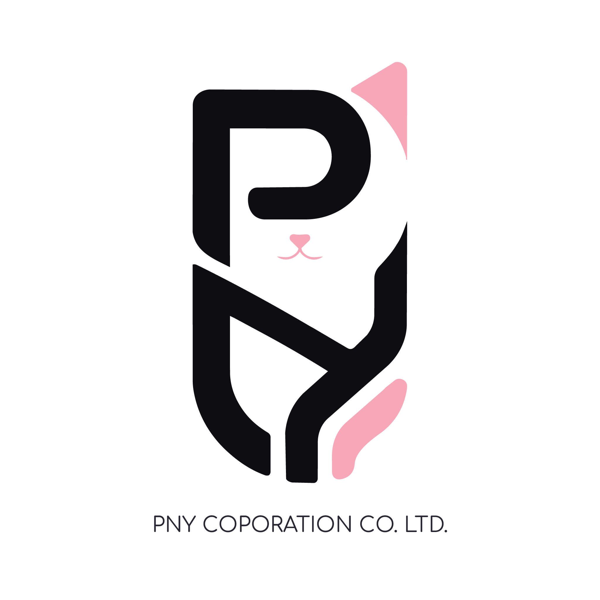 PNY Logo